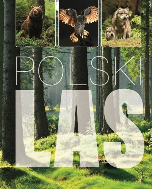 Polski Las